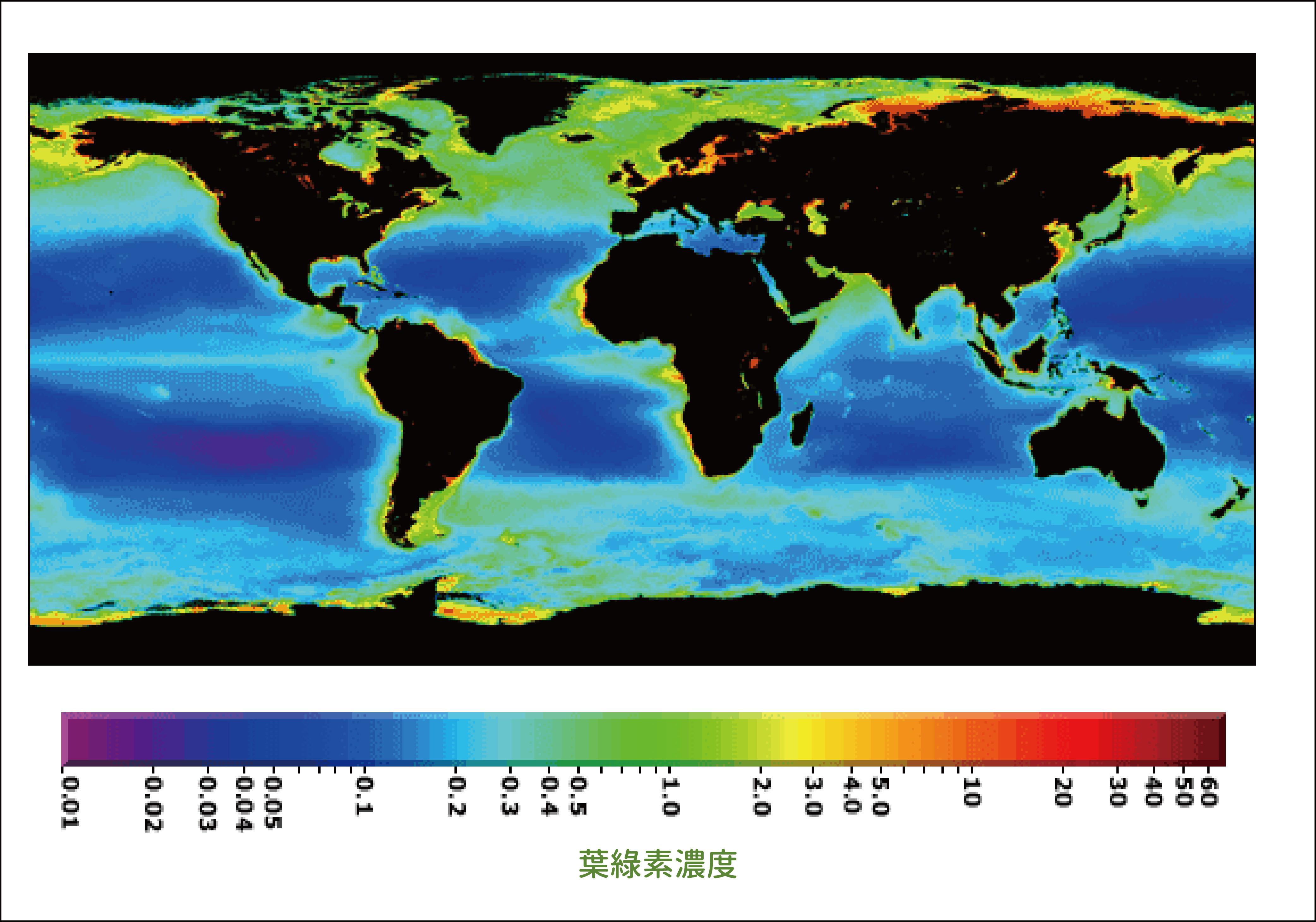 全球海洋生物量的分布圖，色溫越高代表海水中浮游植物生物量 (biomass) ──葉綠素愈高。因為營養物質供應相對較多，高緯度、邊緣海、以及湧升流海域的生物量特別高。 圖片來源│NASA Earth Observatory 圖說重製│張語辰