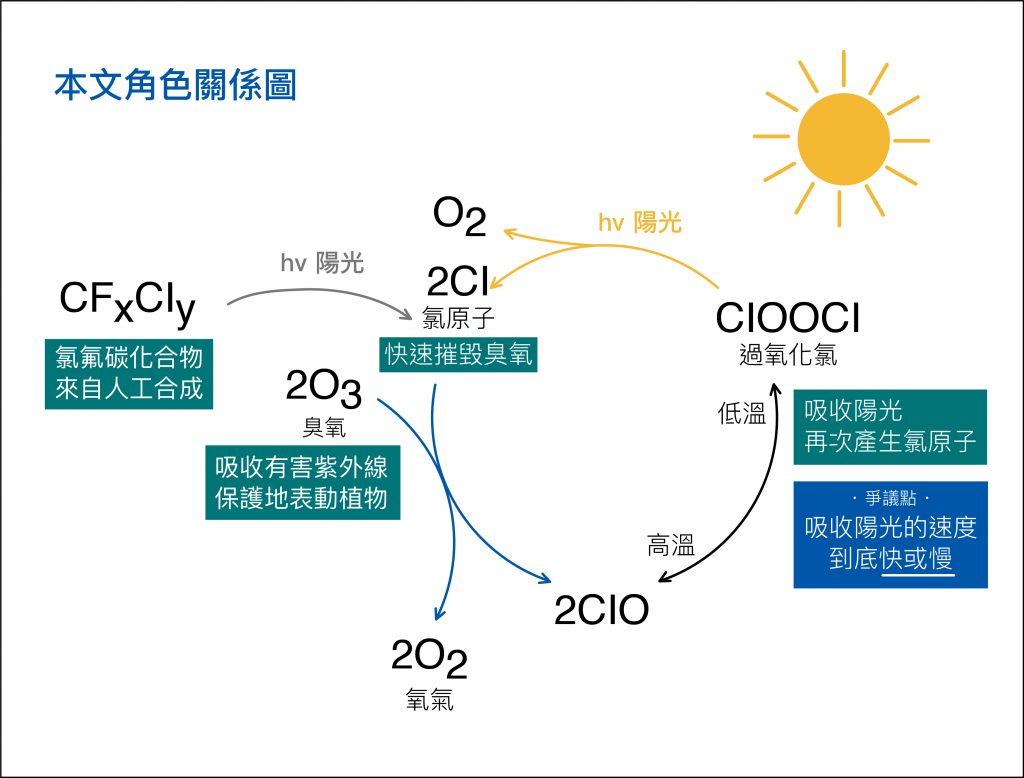 氯原子（Cl）會摧毀臭氧（O3）， 而過氧化氯（ClOOCl）照到陽光會再次產生氯原子（Cl），讓更多臭氧（O3）遭殃。圖｜研之有物