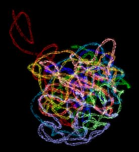 超高解析度螢光顯微鏡中的世界不只美，更能發現人類肉眼看不到的細胞奧妙， 圖中可以看見玉米染色體的「聯會複合體」結構。 此照片獲得 2009 年 OLYMPUS BioScapes 比賽世界第二名。 顯微鏡攝影│王中茹