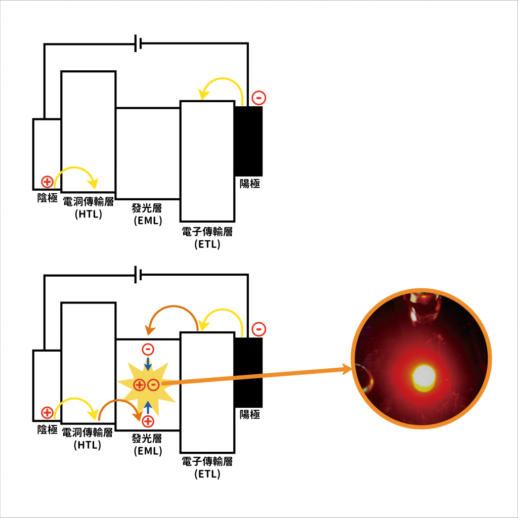 OLED 光電元件構造：當電洞與電子經過傳輸層，來到發光層之後，會給予 OLED 化合物電能，使之激發出光色，如照片實體所示。圖片來源│李怡葶提供 圖說改編│林婷嫻、張語辰