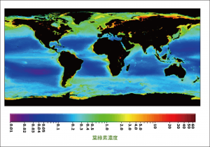 全球海洋生物量的分布圖，色溫越高代表海水中浮游植物生物量(biomass)─葉綠素愈高，因為營養物質供應相對較多，高緯度、邊緣海、以及湧升流海域的生物量特別高。 圖片來源│NASA Earth Observatory圖說重製│張語辰