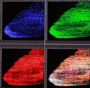 Skinbow：將紅、綠、藍(光的三原色)螢光蛋白標誌疊合之後，可以產生上百種不同顏色來標誌不同的表皮細胞，讓同個細胞在組織再生的過程中，能被長時間追蹤觀察。圖│研之有物