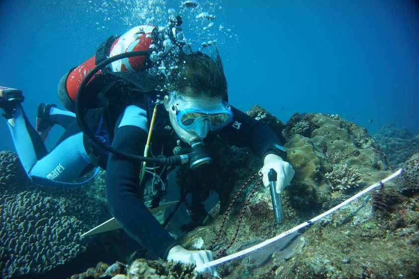Lauriane 正在檢測珊瑚礁。圖│Lauriane