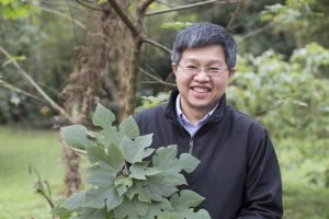 對於從構樹葉綠體基因描繪出南島語族史前航線、佐證「出臺灣說」的研究過程，鍾國芳認為是「努力與幸運的結合」。圖│研之有物