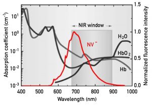 圖片中的「生物組織近紅外窗口(NIR Window)」，這段波長範圍剛好躲掉了人體血液、組織及水份的吸收帶，讓光能夠抵達人體深處。而螢光奈米鑽石發出的紅光(紅色曲線)，波長大約 700 nm，可穿透生物組織，適合用於活體成像。 圖│〈螢光奈米鑽石〉，作者：張煥正