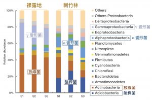 DNA 定序分析：月世界惡地的「裸露地」和「刺竹林」土壤間細菌族群的差異。圖│研之有物、廖英凱(資料來源│Lin, Y.T. Whtman, W.B., Coleman, D.C., Shiau, Y.J., Jien, S.H. and Chiu, C.Y.*, 2018, “The influences of thorny bamboo growth on the bacterial community in badland soils of southwestern Taiwan”, Land Degradation & Development, 29(8), 2728-2738.)