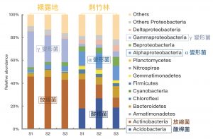 DNA 定序分析：月世界惡地的「裸露地」和「刺竹林」土壤間細菌族群的差異。 資料來源│Lin, Y.T. Whtman, W.B., Coleman, D.C., Shiau, Y.J., Jien, S.H. and Chiu, C.Y.*, 2018, “The influences of thorny bamboo growth on the bacterial community in badland soils of southwestern Taiwan”, Land Degradation & Development. 圖說重製│廖英凱、張語辰