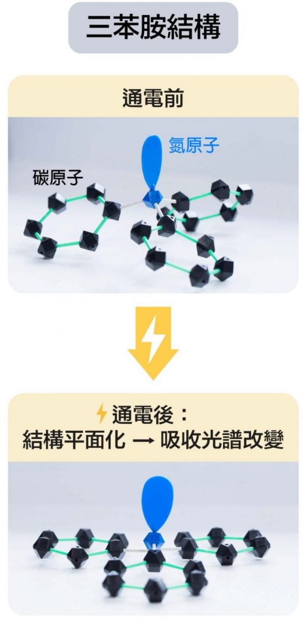 三苯胺結構(C6H5)3N，通電後的變化。圖│研之有物(模型示意│顏宏儒)