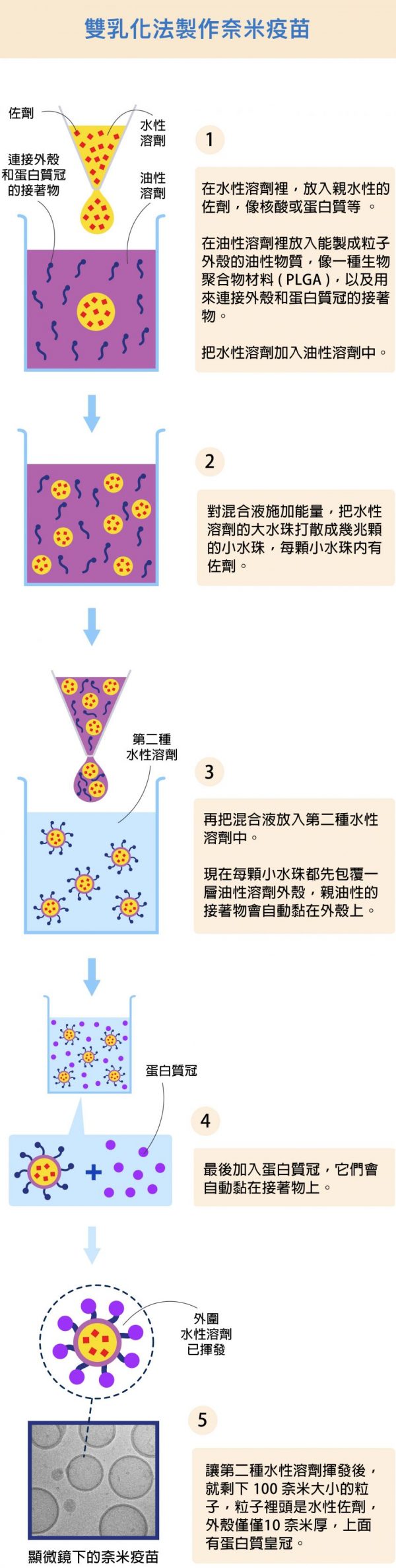 Virus生物能運動服