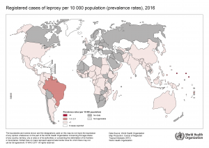 2016 年世界衛生組織公布的全球麻風地圖，僅剩巴西一帶盛行率超過萬分之一。圖│World Health Organization
