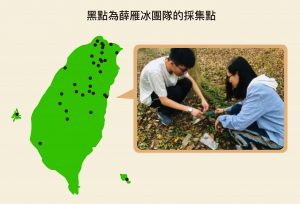 為了研究線蟲和線蟲捕捉菌在自然界的互動關係，薛雁冰團隊必須到臺灣山野間採集，從泥土中分離出各式各樣的線蟲和真菌，並整理在大自然中哪些線蟲會和哪些線蟲捕捉菌生長在一起。資料來源│薛雁冰圖片重製│林洵安