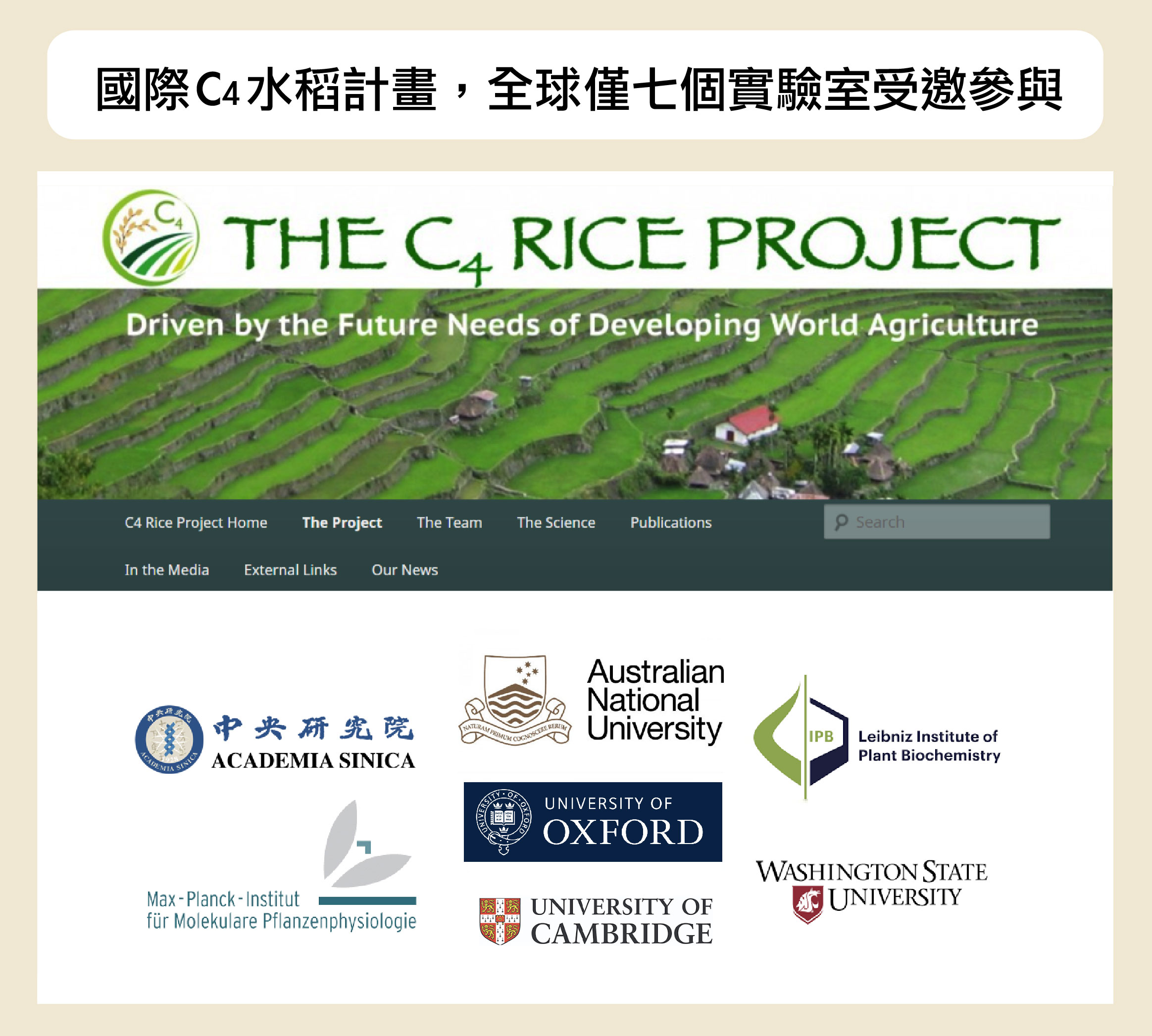 打造超完美稻米，餵飽全世界！余淑美與國際C4水稻計畫