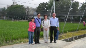 余淑美 (右二) 以及來自國際稻米研究中心的 C4 計畫第一到第三期總主持人（右一）、國際稻米研究中心訪問學者(左二)、學生羅舜芳博士(左一)，於水稻實驗水田旁合影。圖片來源│余淑美