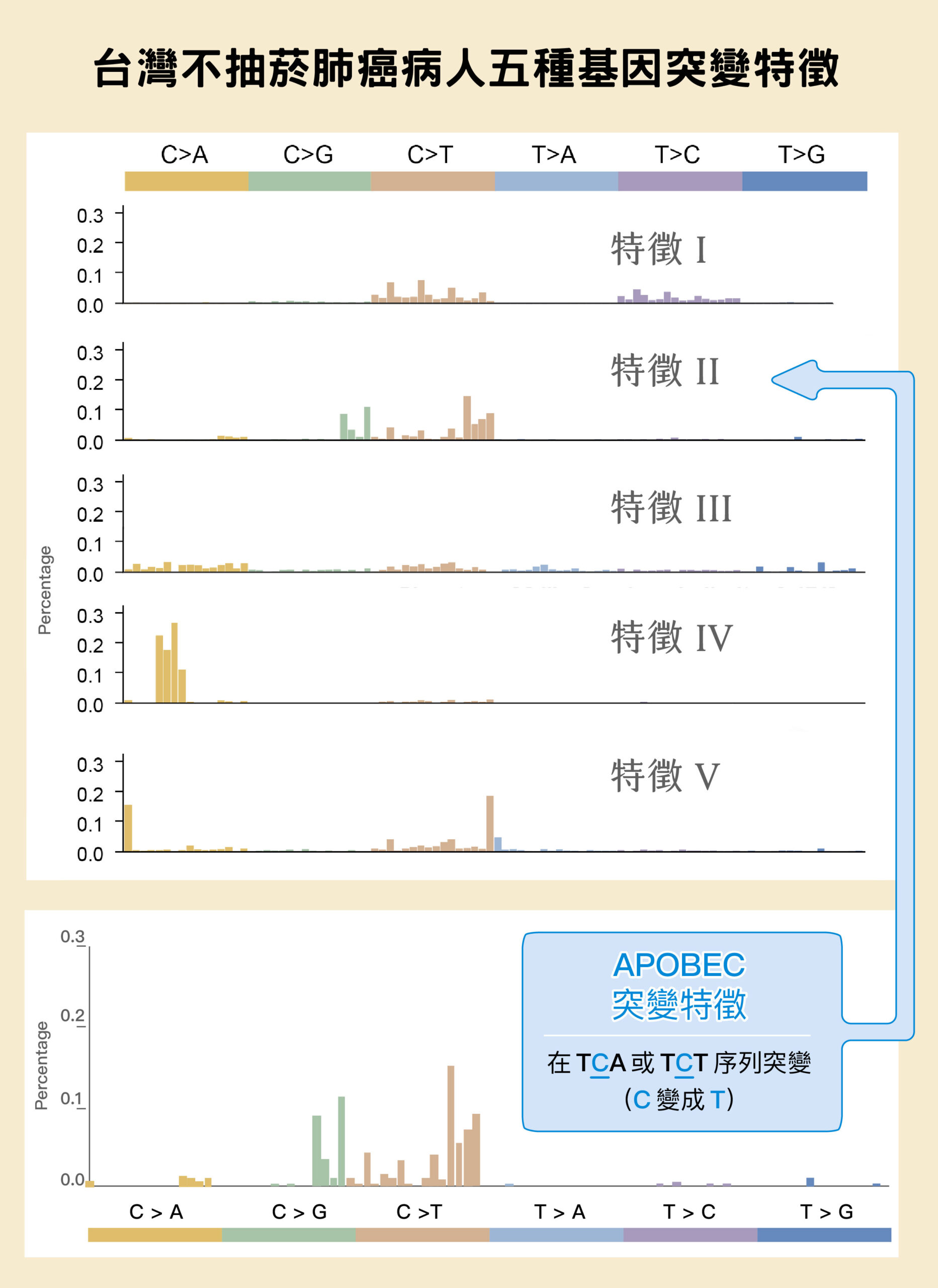 肺癌患者半數不曾吸菸？女生比男生容易罹癌？找到臺灣人肺癌關鍵成因