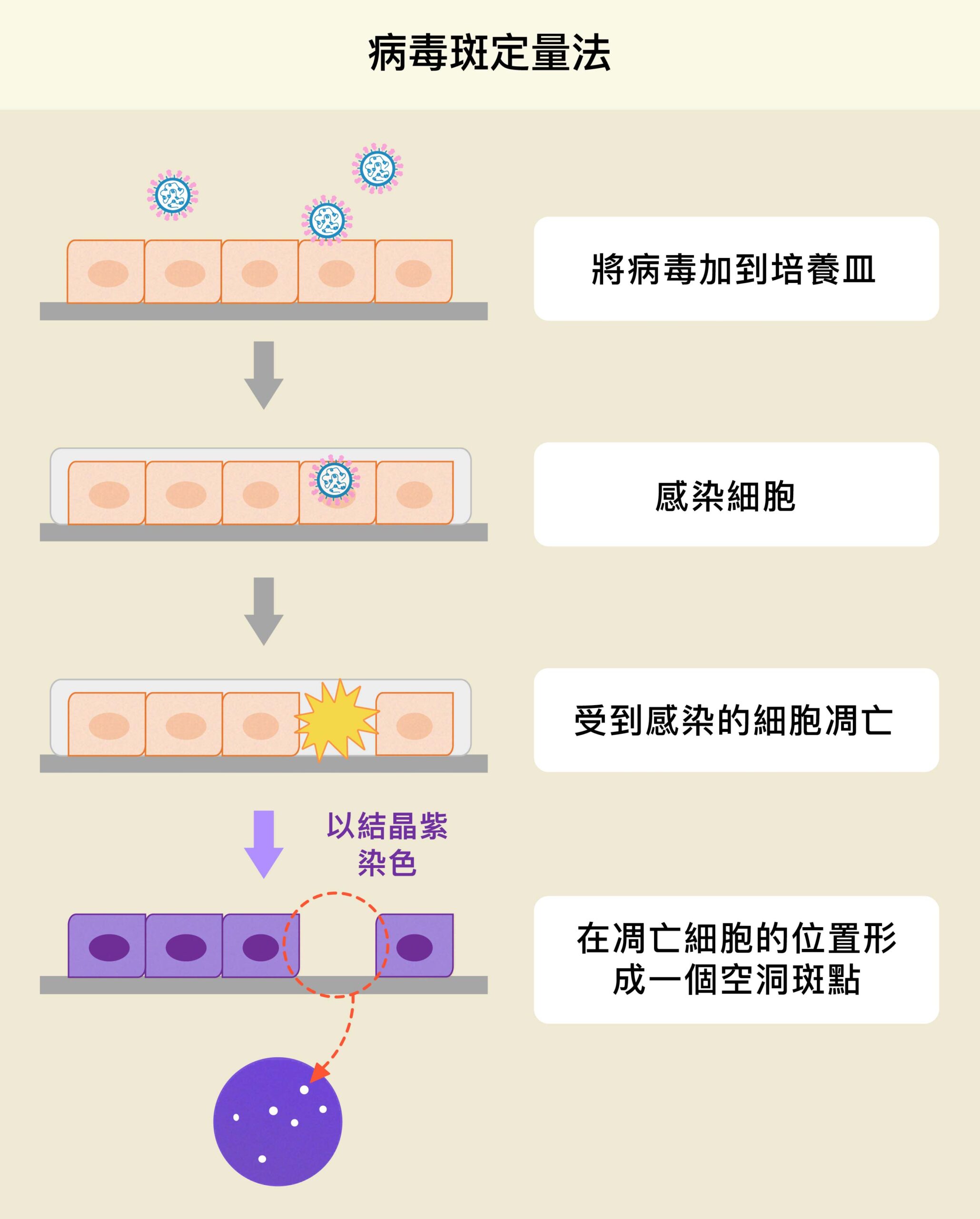 圖│研之有物（資料來源│林宜玲