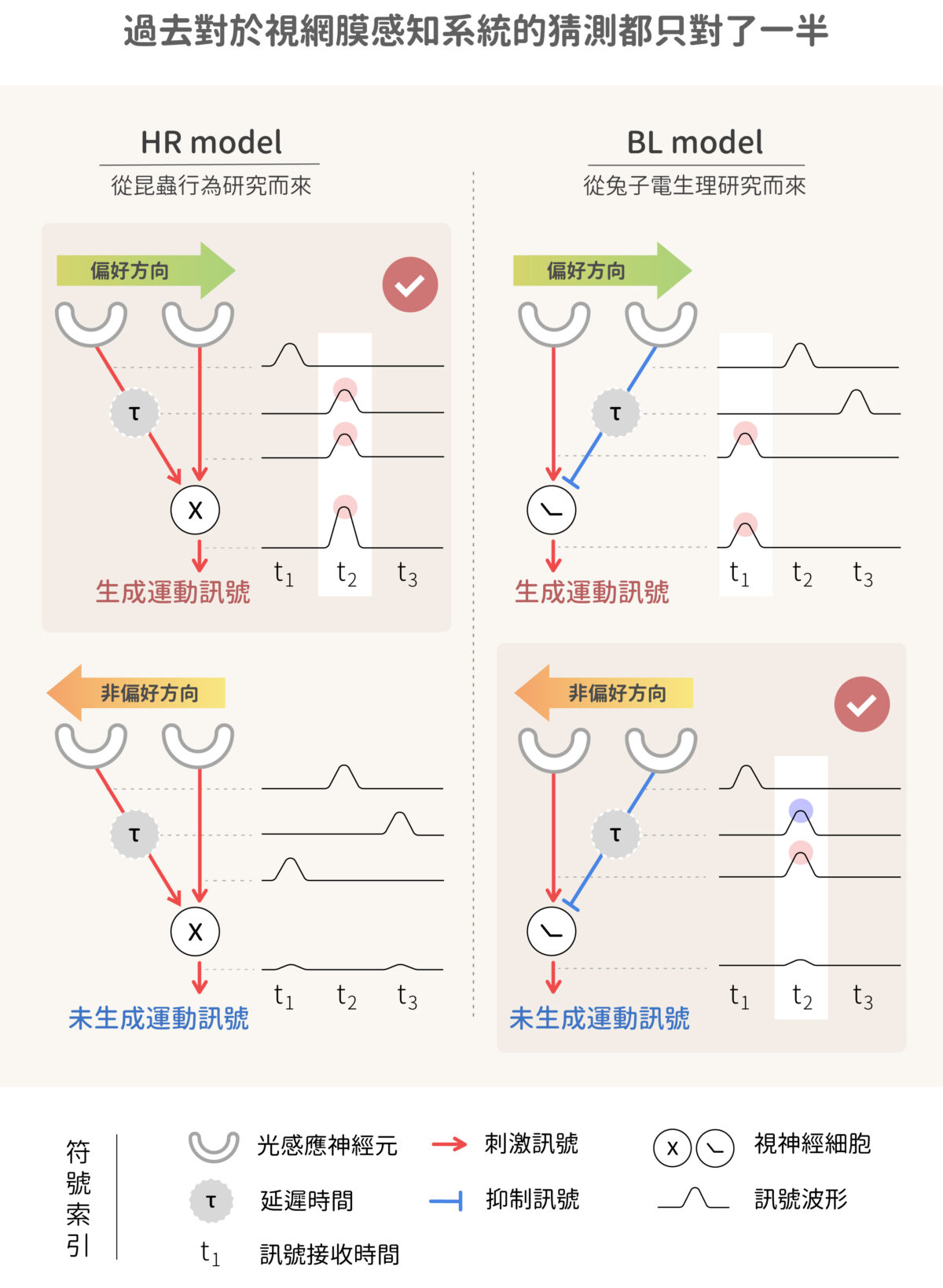 關於視網膜感知系統的運算機制，過去 HR 理論和 BL 理論都只猜對其中一種方向（詳如內文）