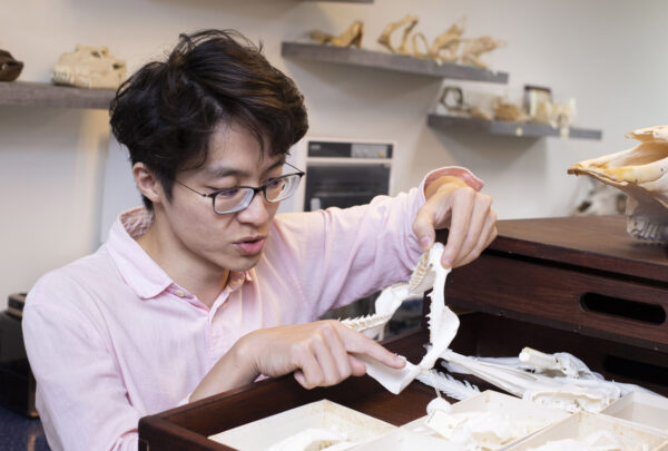 林千翔提醒，魚耳石雖然好用，也只能重現古代魚群一部分的資訊，還是要搭配牙齒、骨頭、鱗片等材料，才能更完整地認識古代魚群，以及它們所屬的生態系。圖│研之有物