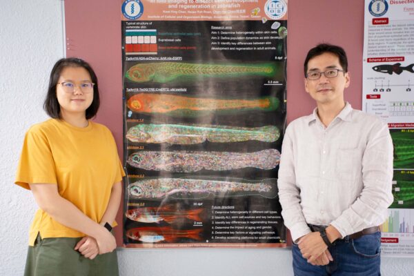 陳振輝研究團隊發現斑馬魚表皮細胞有「無合成分裂」現象，研究成果於 2022 年 4 月發表在國際頂級期刊《自然》。圖為陳振輝（右）與第一作者陳潔盈（左）合影。 圖│研之有物