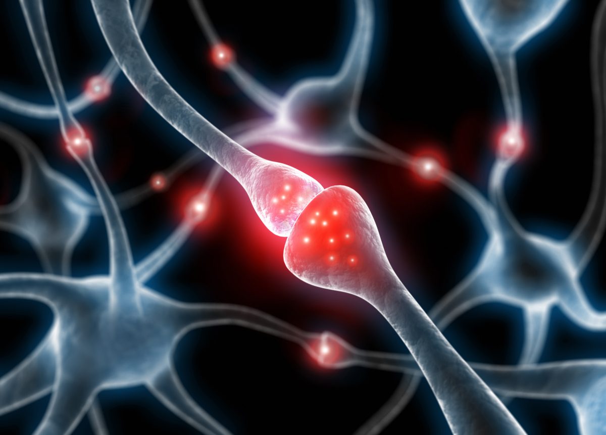 神經需要彼此連結才能發揮作用，突觸是如何形成的呢？圖｜iStock