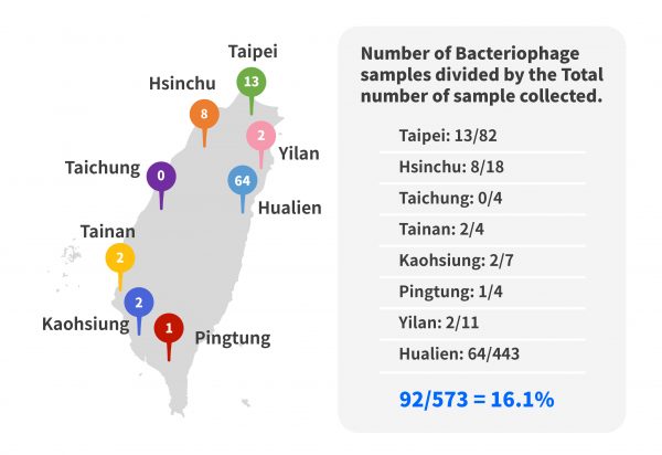 The bacteriophages currently identified by Dr. Lowary's team. Image | Research For You. (Source | Dr. Lowary)
