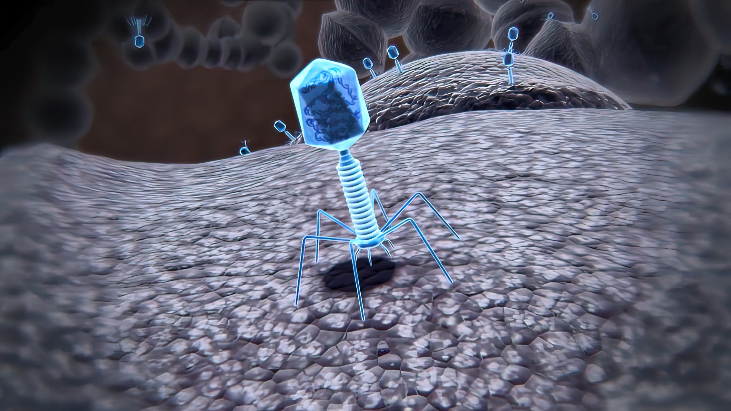 Bacteriophages, also known as phages, are viruses that specifically infect and parasitize bacteria. They are composed of nucleic acid and proteins, and have a shape resembling a needle with a polygon. Source｜iStock