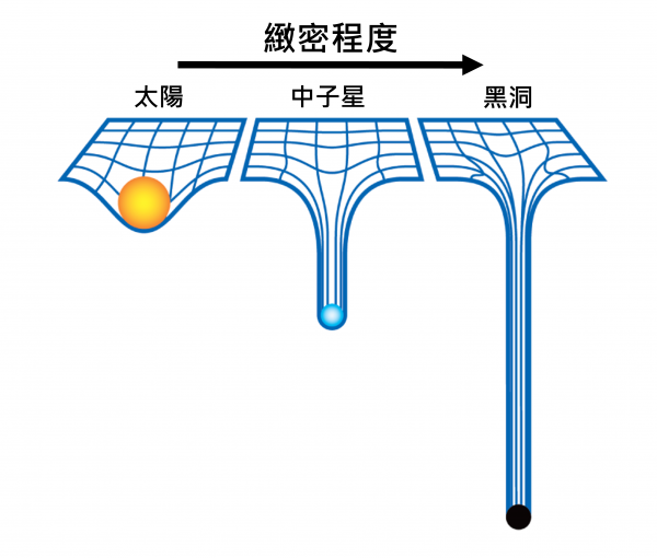 示意圖，以 2D 平面表示 3D 時空的扭曲。不同天體的緻密程度不同，愈往右邊愈緻密，黑洞是最緻密的天體，重力愈強，空間長度愈長，時間愈慢。 圖｜概念參考自 Reddit
