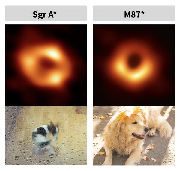 M87 黑洞和銀河系中心黑洞 Sgr A* 的比喻圖。 圖｜Dog chasing own tail、iStock