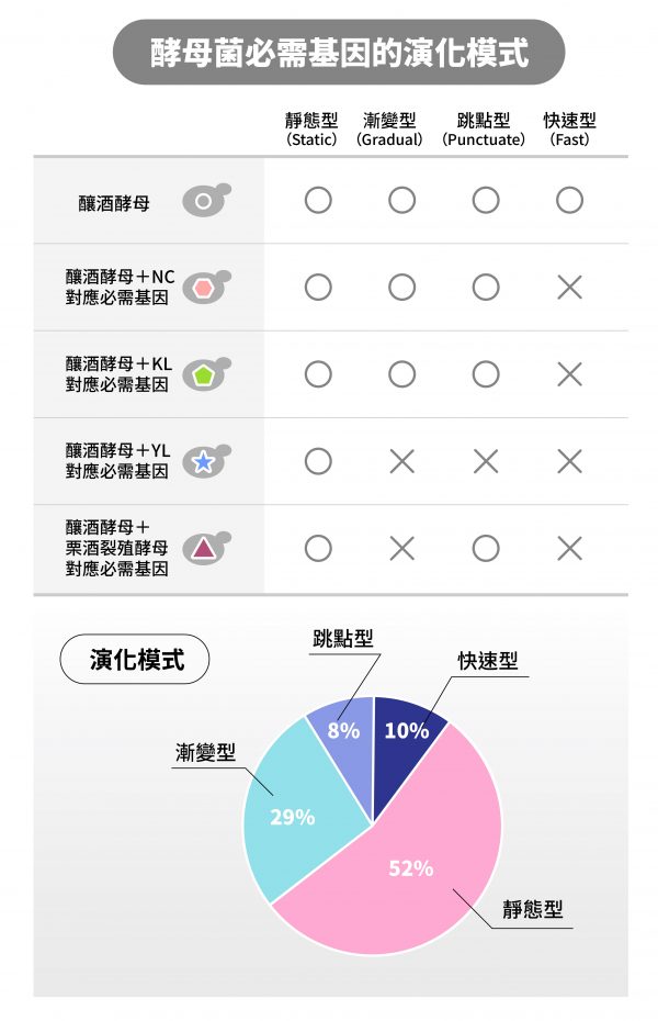 替換釀酒酵母的必需基因之後，依照相容和不相容的情況分成四組：靜態型、漸變型、跳點型和快速型。圓餅圖顯示各組比例。其中：O 表示相容，X 表示不相容。 圖｜研之有物（資料來源：呂俊毅）