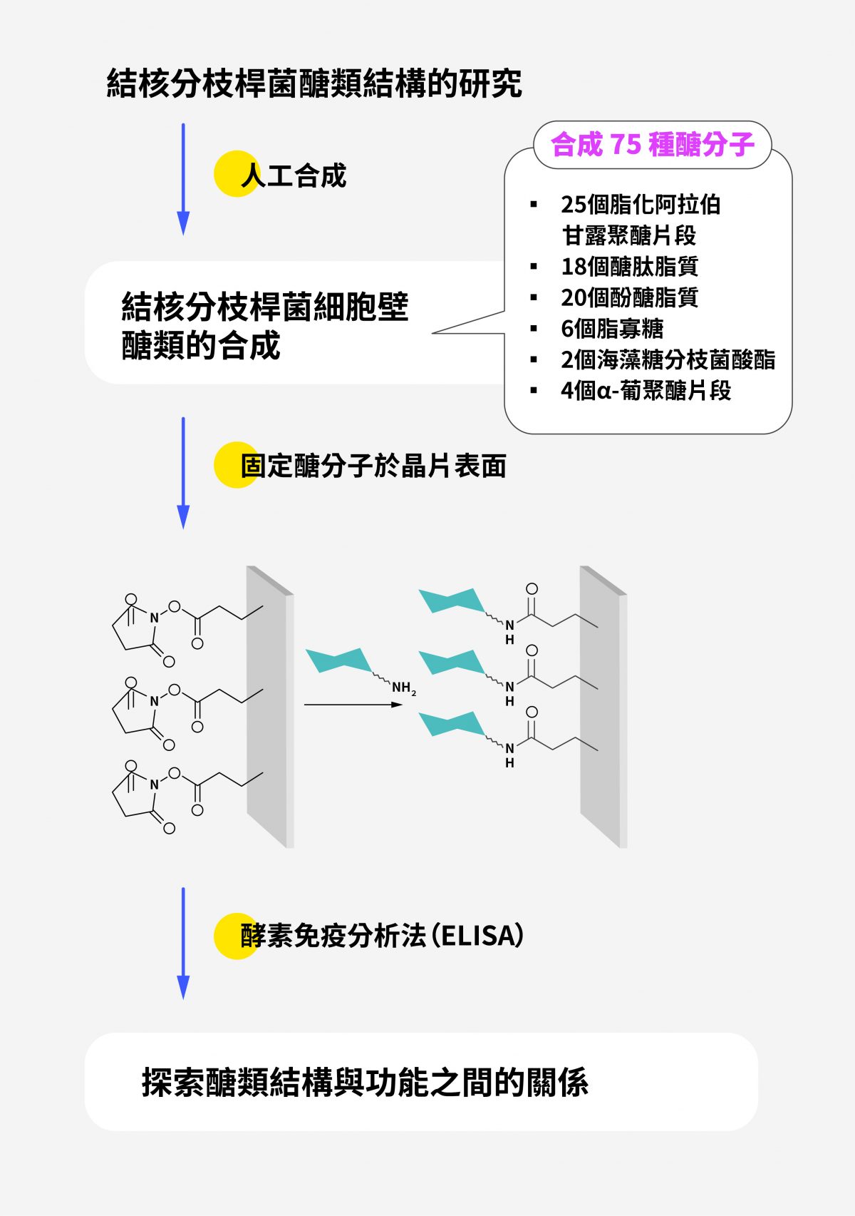 Dr. Lowary 團隊研究醣類結構的方法之一。 圖|研之有物(資料來源|Dr. Lowary)