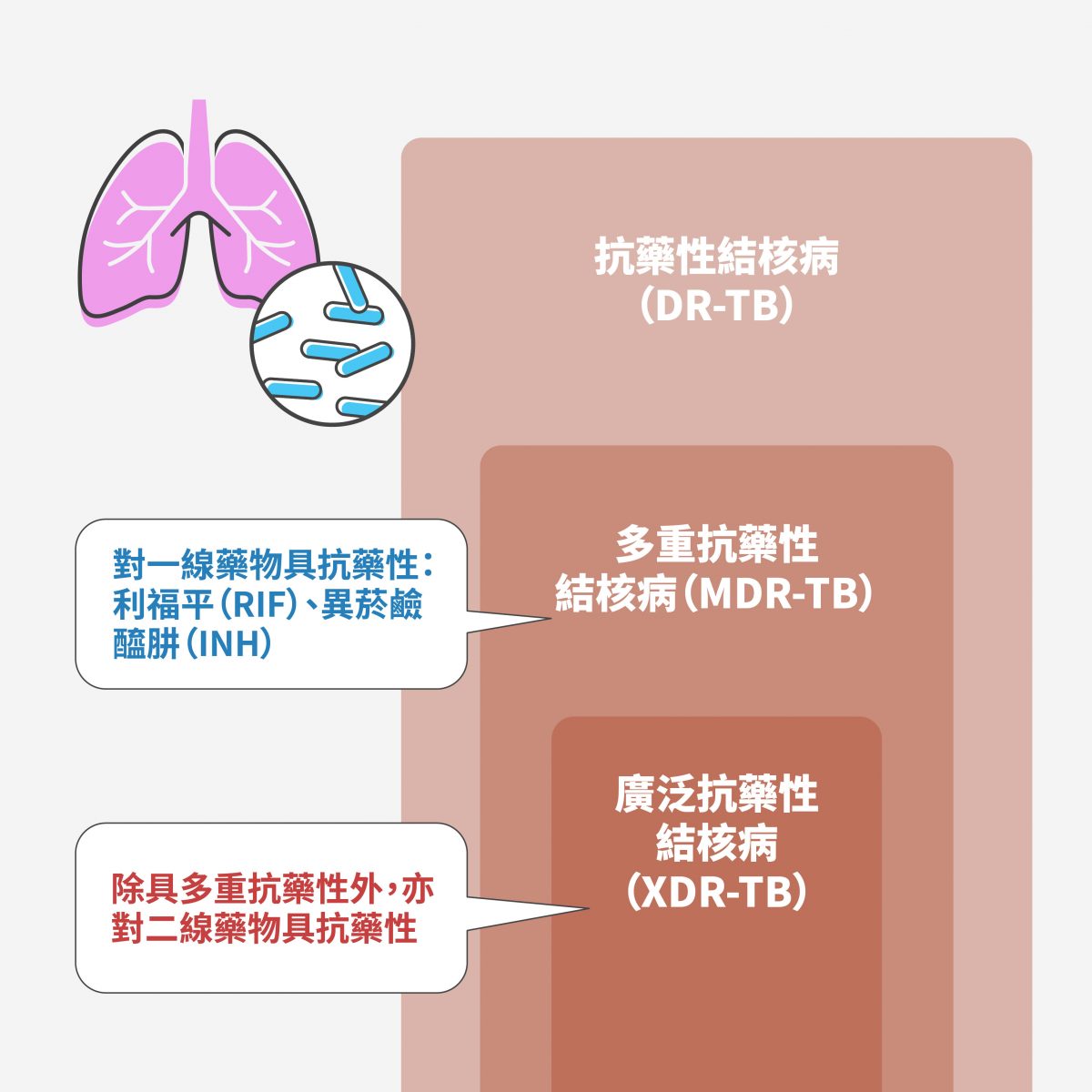 抗藥性已成為現今結核病防治的一大挑戰。 圖｜研之有物（資料來源｜Dr. Lowary）
